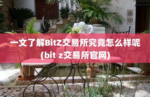 一文了解BitZ交易所究竟怎么样呢(bit z交易所官网)