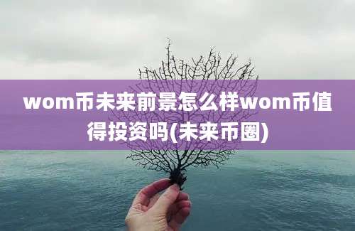 wom币未来前景怎么样wom币值得投资吗(未来币圈)