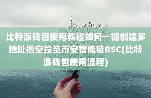 比特派钱包使用教程如何一键创建多地址撸空投至币安智能链BSC(比特派钱包使用流程)