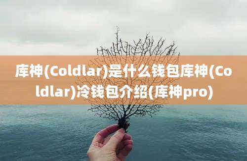 库神(Coldlar)是什么钱包库神(Coldlar)冷钱包介绍(库神pro)