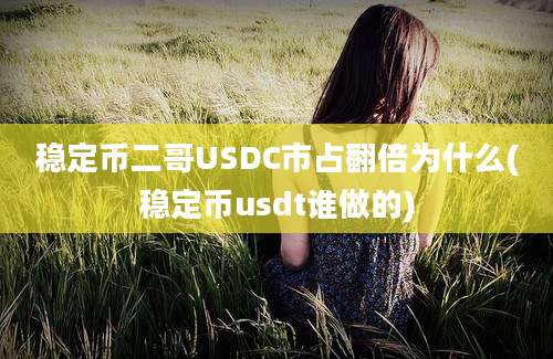 稳定币二哥USDC市占翻倍为什么(稳定币usdt谁做的)