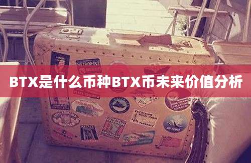 BTX是什么币种BTX币未来价值分析