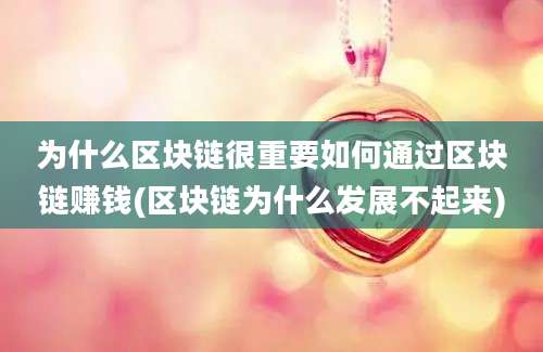 为什么区块链很重要如何通过区块链赚钱(区块链为什么发展不起来)