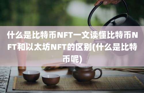 什么是比特币NFT一文读懂比特币NFT和以太坊NFT的区别(什么是比特币呢)