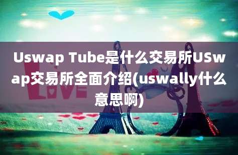 Uswap Tube是什么交易所USwap交易所全面介绍(uswally什么意思啊)