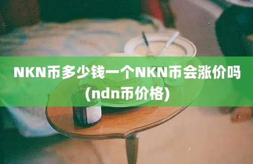 NKN币多少钱一个NKN币会涨价吗(ndn币价格)