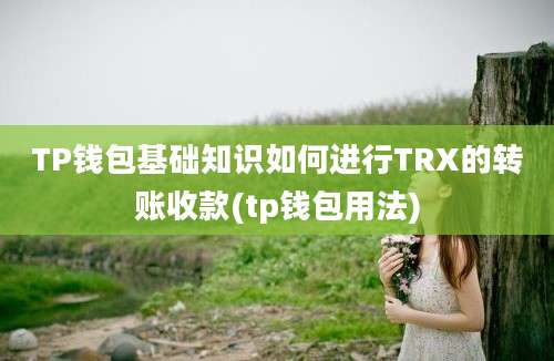 TP钱包基础知识如何进行TRX的转账收款(tp钱包用法)