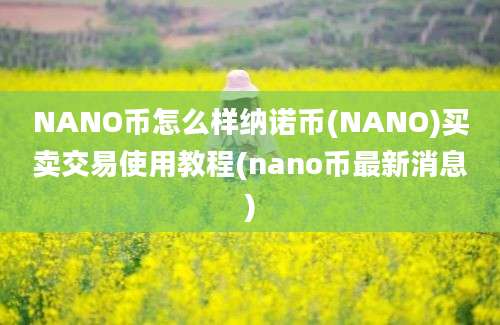 NANO币怎么样纳诺币(NANO)买卖交易使用教程(nano币最新消息)