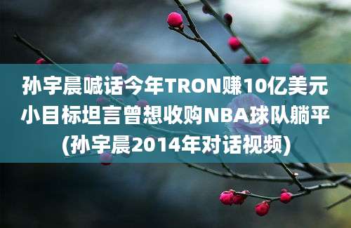 孙宇晨喊话今年TRON赚10亿美元小目标坦言曾想收购NBA球队躺平(孙宇晨2014年对话视频)