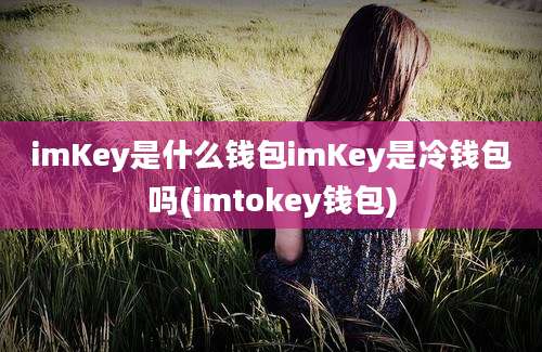 imKey是什么钱包imKey是冷钱包吗(imtokey钱包)