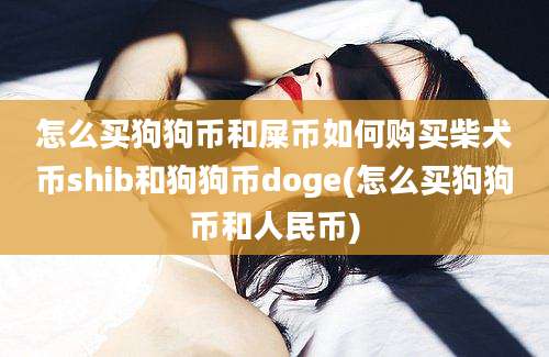 怎么买狗狗币和屎币如何购买柴犬币shib和狗狗币doge(怎么买狗狗币和人民币)