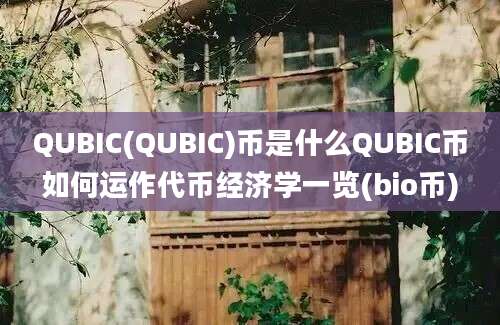 QUBIC(QUBIC)币是什么QUBIC币如何运作代币经济学一览(bio币)