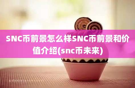 SNC币前景怎么样SNC币前景和价值介绍(snc币未来)