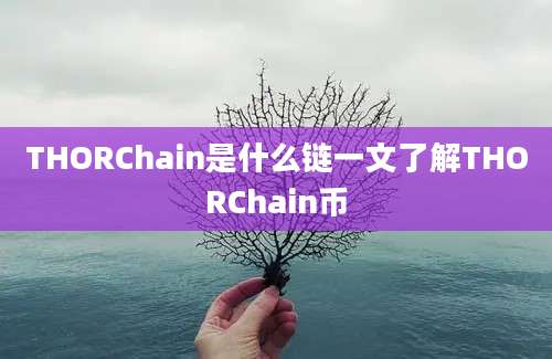 THORChain是什么链一文了解THORChain币