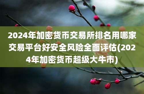 2024年加密货币交易所排名用哪家交易平台好安全风险全面评估(2024年加密货币超级大牛市)