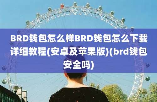 BRD钱包怎么样BRD钱包怎么下载详细教程(安卓及苹果版)(brd钱包安全吗)