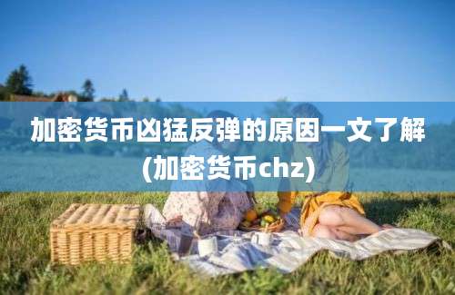 加密货币凶猛反弹的原因一文了解(加密货币chz)