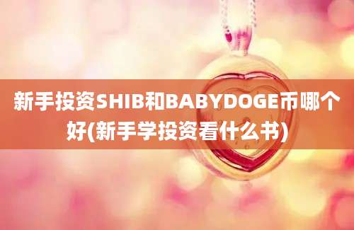 新手投资SHIB和BABYDOGE币哪个好(新手学投资看什么书)