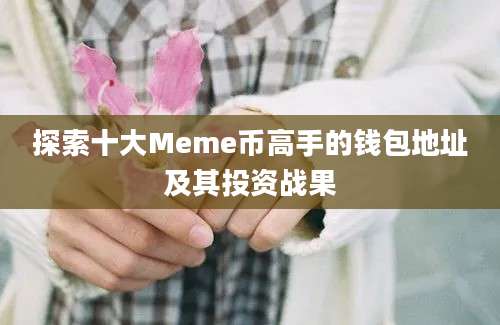 探索十大Meme币高手的钱包地址及其投资战果