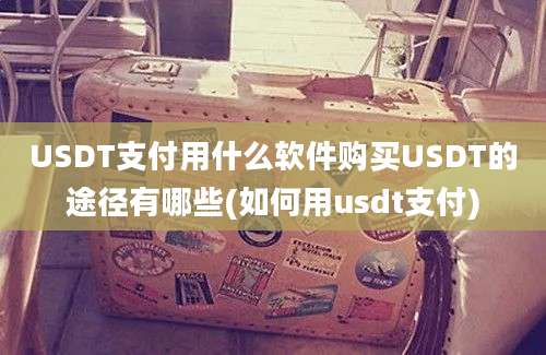 USDT支付用什么软件购买USDT的途径有哪些(如何用usdt支付)