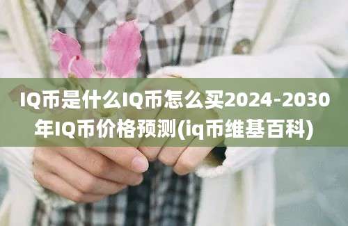 IQ币是什么IQ币怎么买2024-2030年IQ币价格预测(iq币维基百科)