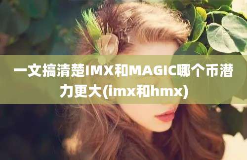 一文搞清楚IMX和MAGIC哪个币潜力更大(imx和hmx)