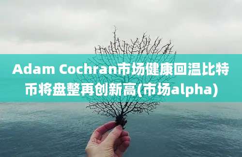 Adam Cochran市场健康回温比特币将盘整再创新高(市场alpha)