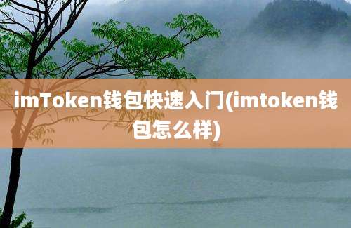 imToken钱包快速入门(imtoken钱包怎么样)