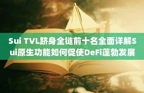 Sui TVL跻身全链前十名全面详解Sui原生功能如何促使DeFi蓬勃发展