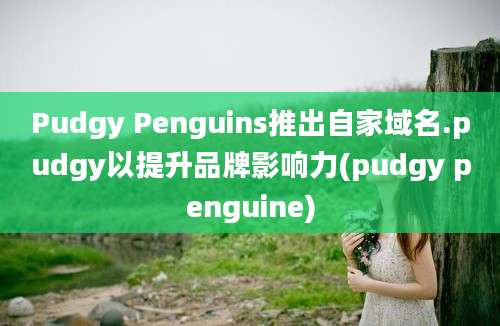 Pudgy Penguins推出自家域名.pudgy以提升品牌影响力(pudgy penguine)