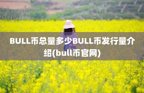 BULL币总量多少BULL币发行量介绍(bull币官网)