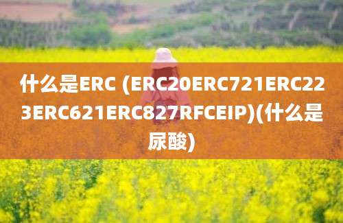 什么是ERC (ERC20ERC721ERC223ERC621ERC827RFCEIP)(什么是尿酸)