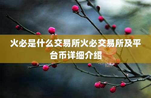 火必是什么交易所火必交易所及平台币详细介绍