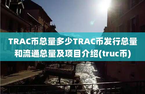 TRAC币总量多少TRAC币发行总量和流通总量及项目介绍(truc币)