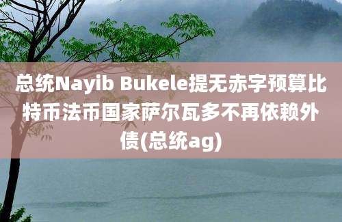 总统Nayib Bukele提无赤字预算比特币法币国家萨尔瓦多不再依赖外债(总统ag)