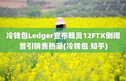 冷钱包Ledger宣布裁员12FTX倒闭曾引销售热潮(冷钱包 知乎)