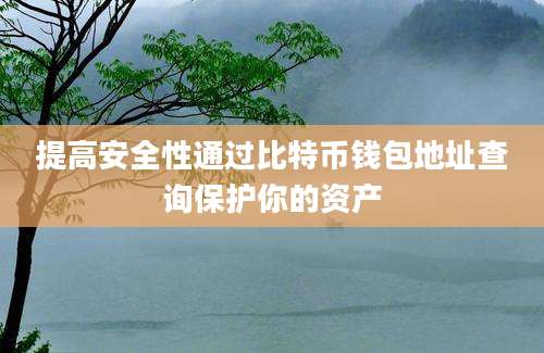 提高安全性通过比特币钱包地址查询保护你的资产