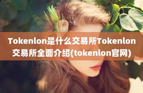 Tokenlon是什么交易所Tokenlon交易所全面介绍(tokenlon官网)