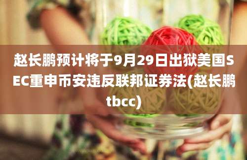 赵长鹏预计将于9月29日出狱美国SEC重申币安违反联邦证券法(赵长鹏tbcc)