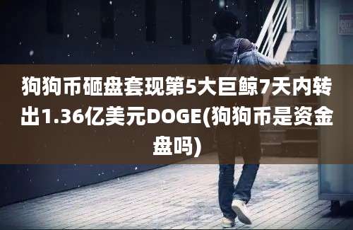 狗狗币砸盘套现第5大巨鲸7天内转出1.36亿美元DOGE(狗狗币是资金盘吗)