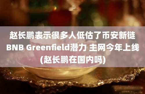 赵长鹏表示很多人低估了币安新链BNB Greenfield潜力 主网今年上线(赵长鹏在国内吗)