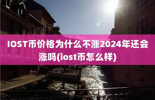 IOST币价格为什么不涨2024年还会涨吗(iost币怎么样)