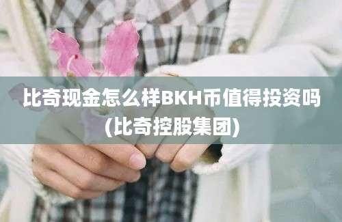 比奇现金怎么样BKH币值得投资吗(比奇控股集团)