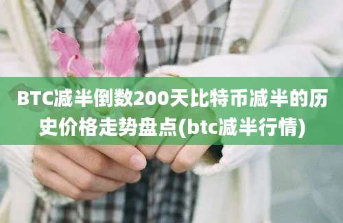 BTC减半倒数200天比特币减半的历史价格走势盘点(btc减半行情)