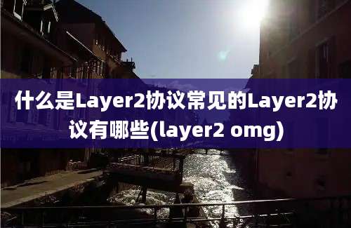 什么是Layer2协议常见的Layer2协议有哪些(layer2 omg)