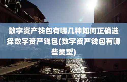 数字资产钱包有哪几种如何正确选择数字资产钱包(数字资产钱包有哪些类型)