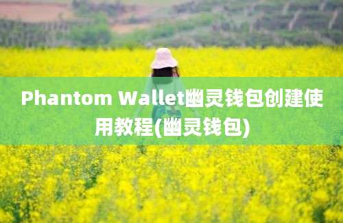 Phantom Wallet幽灵钱包创建使用教程(幽灵钱包)