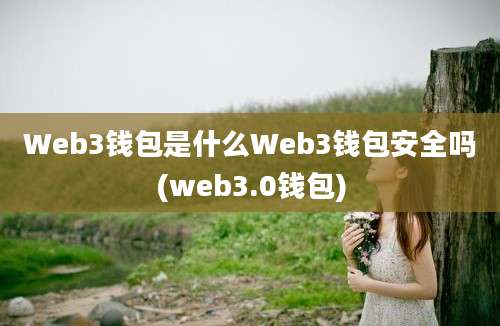 Web3钱包是什么Web3钱包安全吗(web3.0钱包)