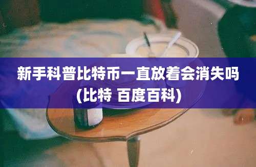 新手科普比特币一直放着会消失吗(比特 百度百科)