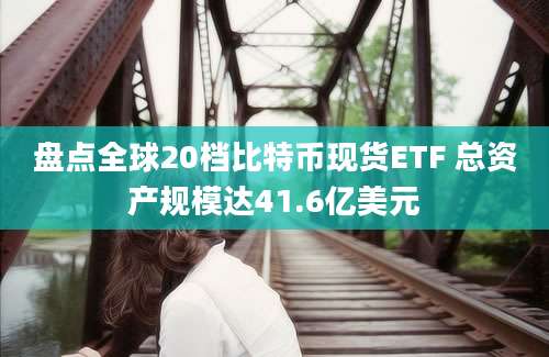 盘点全球20档比特币现货ETF 总资产规模达41.6亿美元